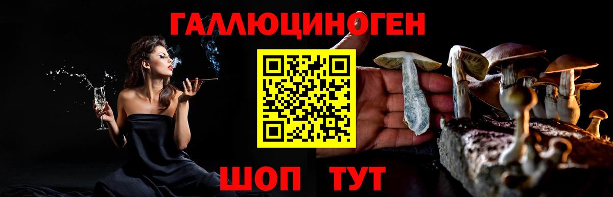 Псилоцибиновые грибы мицелий Дзержинский